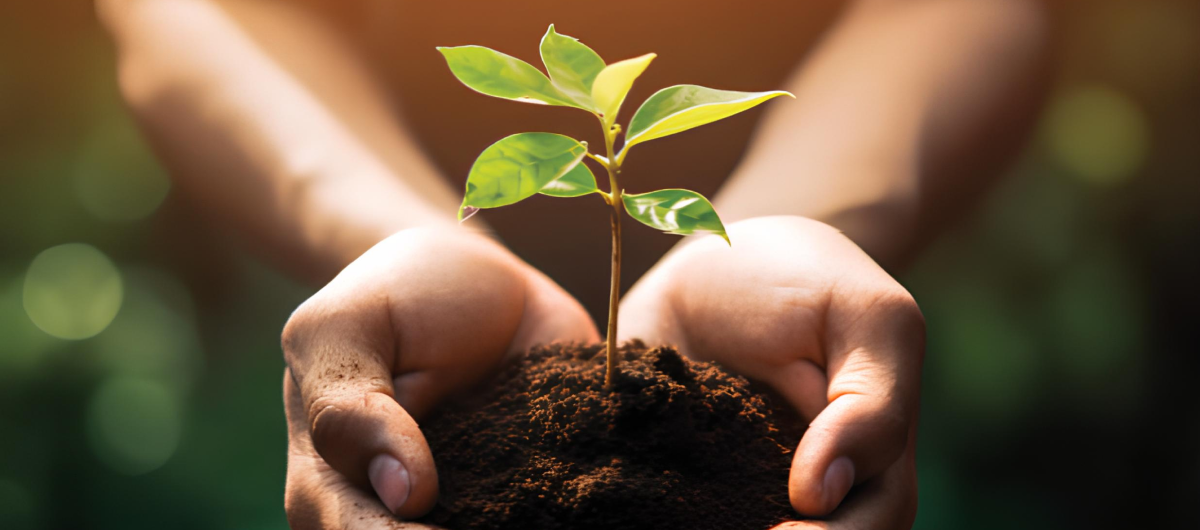 Sustentabilidade